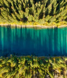 Entre crecimiento y tensión geopolítica